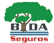 BIDA
